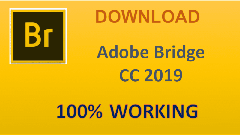 Download Adobe Bridge CC 2019 Full