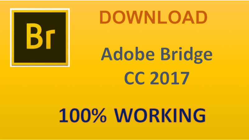 Download Adobe Bridge CC 2017 Full