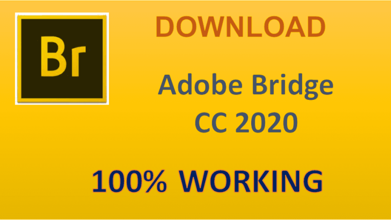 Download Adobe Bridge CC 2020 Full