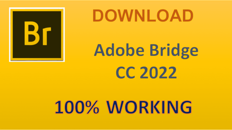 Download Adobe Bridge CC 2022 Full [Đã Test 100%]