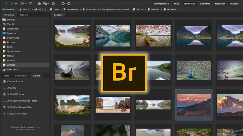 Download Adobe Bridge Hướng dẫn cài đặt chi tiết